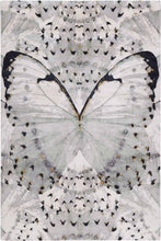 Load image into Gallery viewer, Glasswings by Alexander McQueen