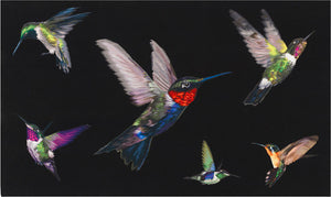 Hummingbird by Alexander McQueen 1m52 x 0m91