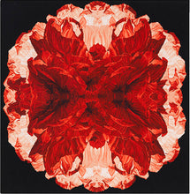 Load image into Gallery viewer, Poppy Night by Alexander McQueen