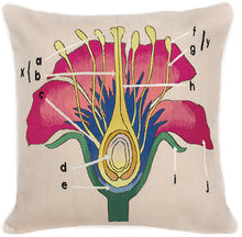 Load image into Gallery viewer, Botanical Anatomy Cushion by Christopher Kane