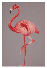 Load image into Gallery viewer, Flamingo by Suzy Hoodless