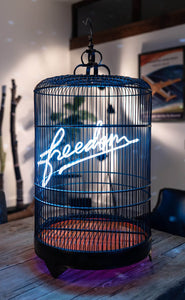 Freedom neon by Olivia Steele